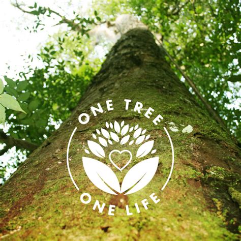 one tree one life
